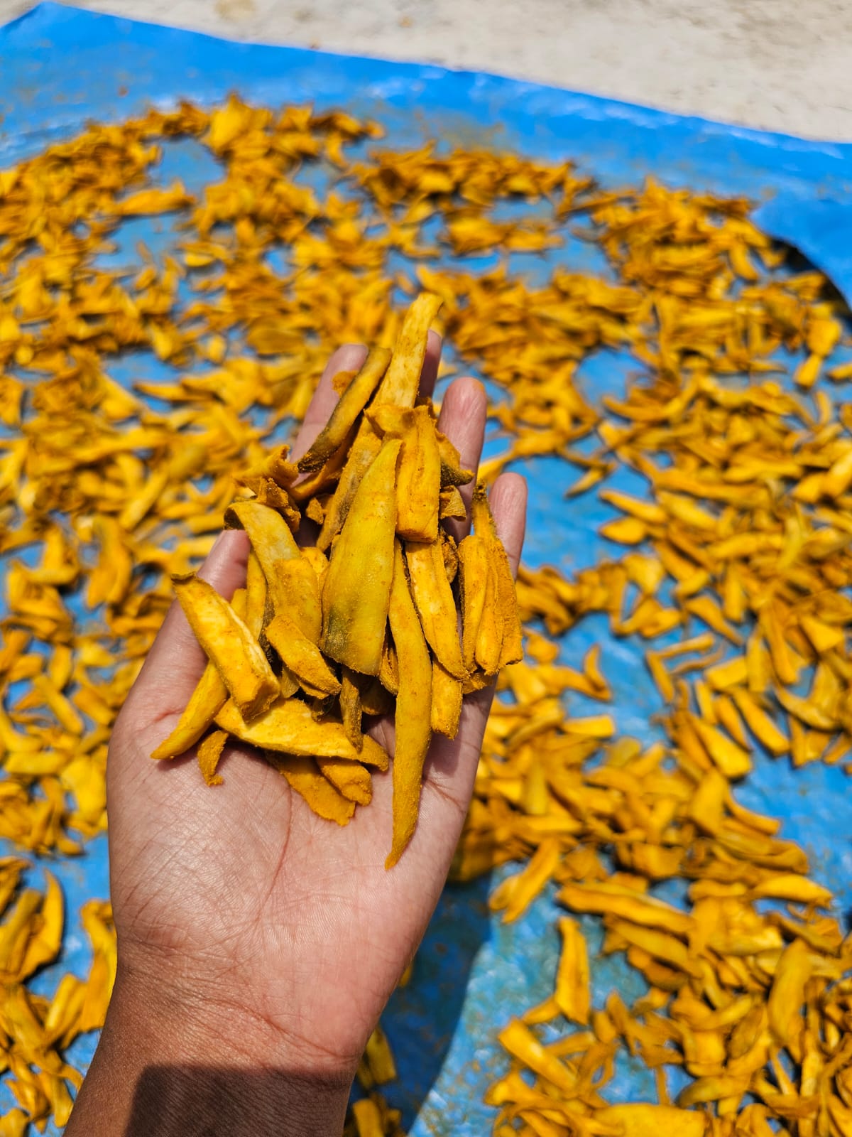 Mango vorugulu